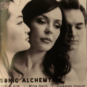 Yueun Kim Mina Gajic Coleman Itzkoff - Mozart Part & Vasks: Sonic Alchemy