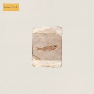 Do Nothing - Friend World