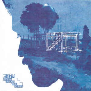 Zayn - Room Under The Stairs