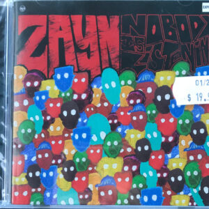 Zayn - Nobody Is Listening